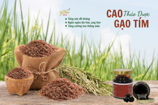 Cao gạo thảo dược