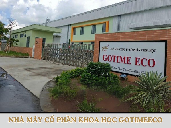 nha may co phan khoa hoc gotimeeco