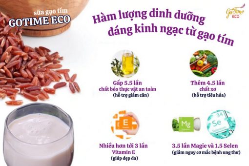 Sữa gạo tím thảo dược tại Gotime Eco