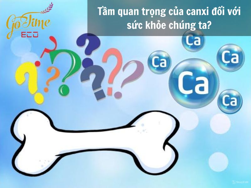 Các thực phẩm bổ sung canxi - Chức năng và tầm quan trọng