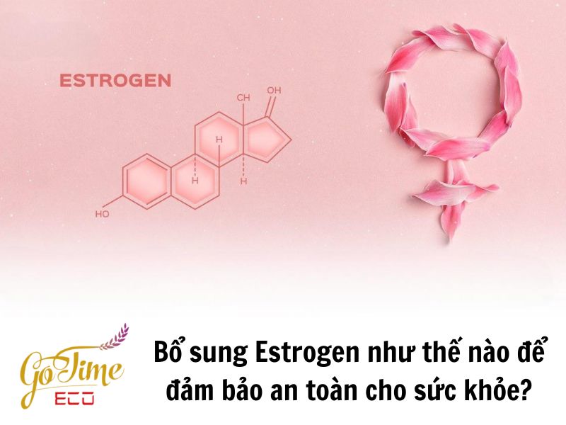 Thực phẩm bổ sung Estrogen: Nâng tầm sức khỏe và sắc đẹp