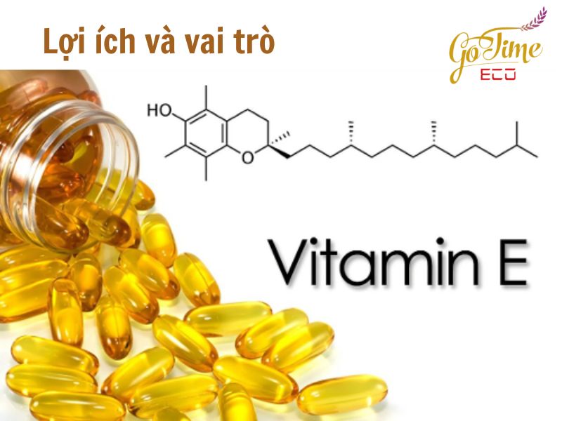 thuc-pham-bo-sung-vitamin-e-bi-quyet-vang-bao-ve-suc-khoe-va-lan-da