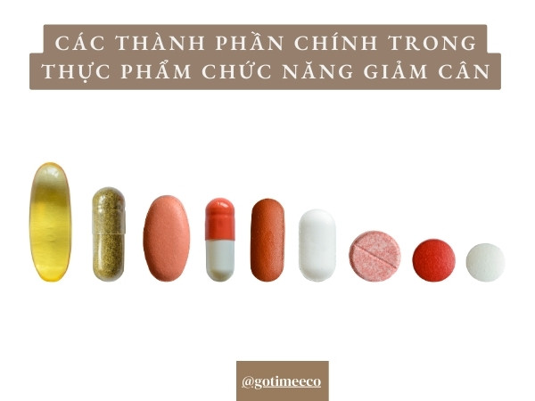 Các Thành Phần Chính Trong Thực Phẩm Chức Năng Giảm Cân