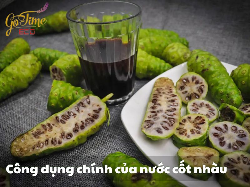 công dụng chính của nước cốt nhàu phục hồi xương khớp Gotime Eco