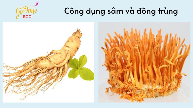 Gia công nước sâm đông trùng phục hồi sức khoẻ uy tín, chất lượng