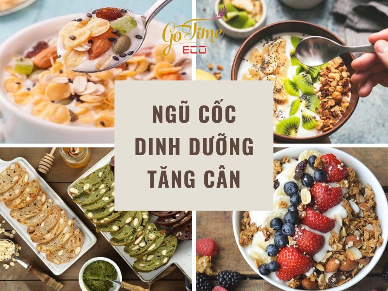 Tìm hiểu về sản phẩm ngũ cốc dinh dưỡng tăng cân