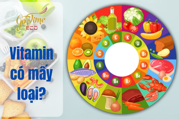 Vitamin có mấy loại? Tất tần tật thông tin về các loại vitamin