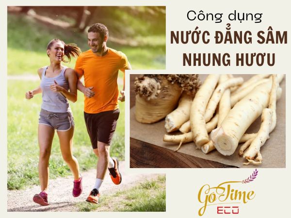 Công dụng chính của nước đẳng sâm nhung hươu