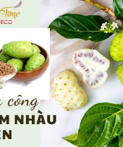 Gia công cốm nhàu viên đóng gói - Bí quyết sống khỏe