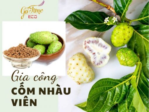 Gia công cốm nhàu viên đóng gói - Bí quyết sống khỏe