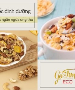 Gia công ngũ cốc dinh dưỡng thảo dược ngăn ngừa ung thư