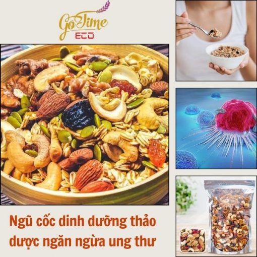 Gia công ngũ cốc dinh dưỡng thảo dược ngăn ngừa ung thư