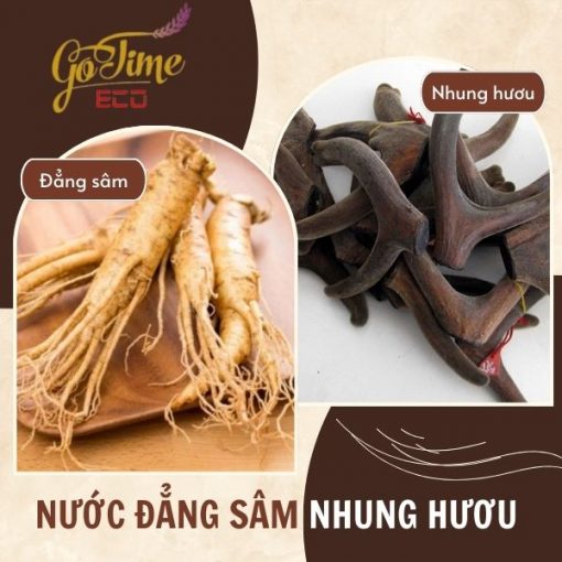 Gia công nước đẳng sâm nhung hươu