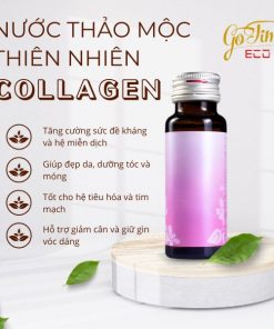 Gia công nước thảo mộc thiên nhiên collagen