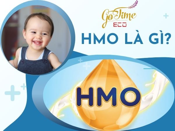 HMO là gì? Những điều mà bạn cần biết về dưỡng chất HMO