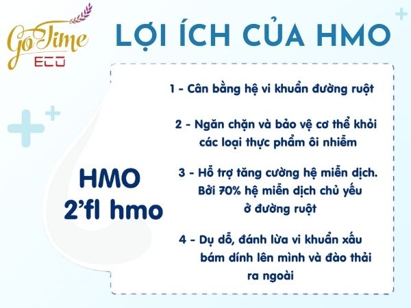 Lợi ích vàng của HMO đối với trẻ sơ sinh và trẻ nhỏ