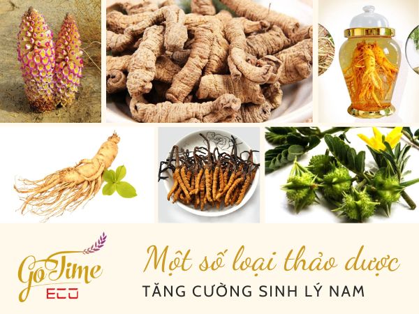 Một số loại thảo dược tăng cường sinh lý nam