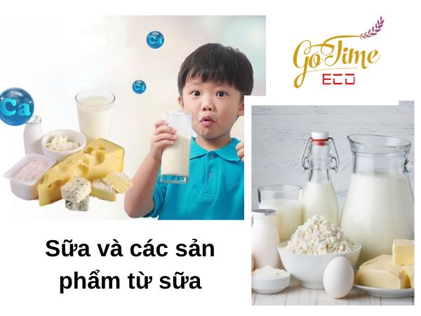 Sữa và các sản phẩm từ sữa là thực phẩm bổ sung canxi cho bé 