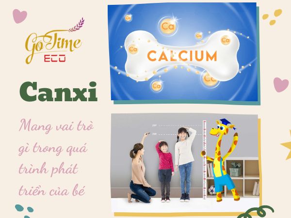 Tầm quan trọng của thực phẩm bổ sung canxi cho bé