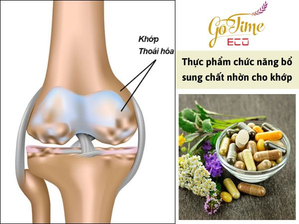 thực phẩm chức năng bổ sung chất nhờn cho khớp