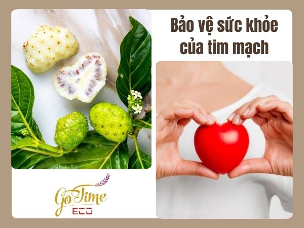 Vô vàn công dụng của trái nhàu mà ít ai biết