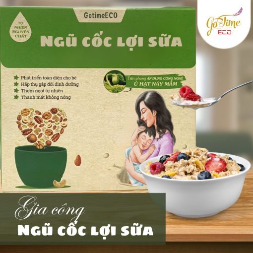 Gia công ngũ cốc lợi sữa