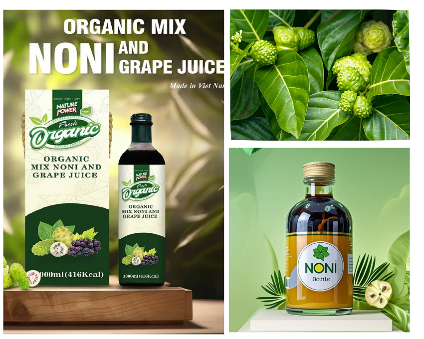 Gia Công Thực Phẩm Bảo Vệ Sức Khỏe: 20 Công Thức Vàng 9 Gia công nước cốt nhàu Enzyme