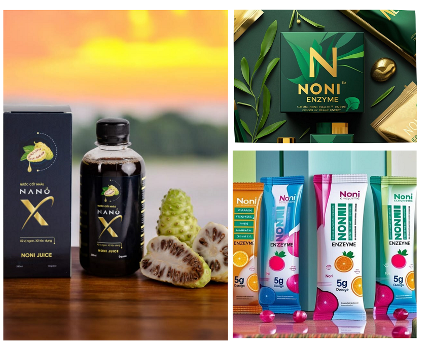 Gia Công Thực Phẩm Bảo Vệ Sức Khỏe: 20 Công Thức Vàng 14 Gia công thực phẩm bổ sung Nhàu Noni Enzyme