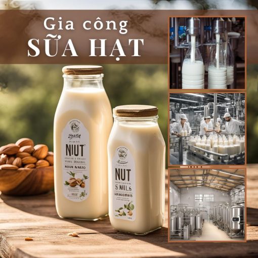 Gia công sữa hạt