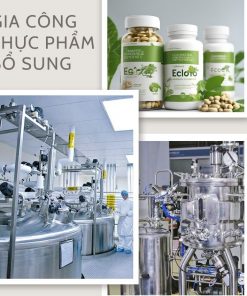 Gia công thực phẩm bổ sung theo yêu cầu