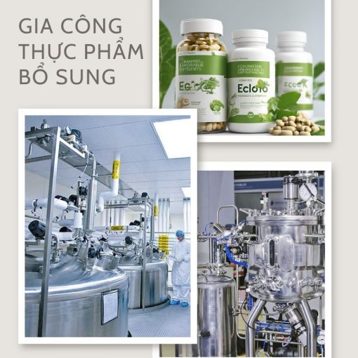 Gia công thực phẩm bổ sung theo yêu cầu