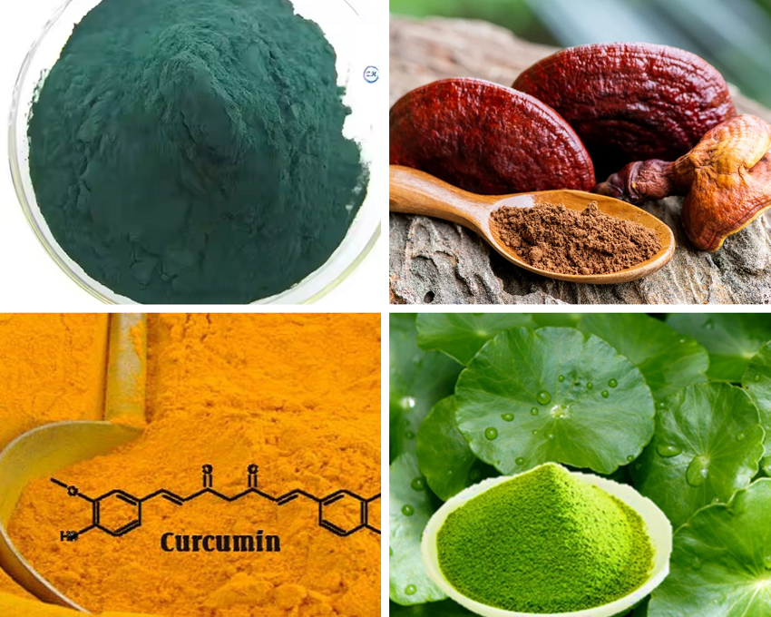 Nhận chiết xuất thảo dược thành bột hòa tan theo yêu cầu 10 Dịch vụ nhận chiết xuất thảo dược thành bột