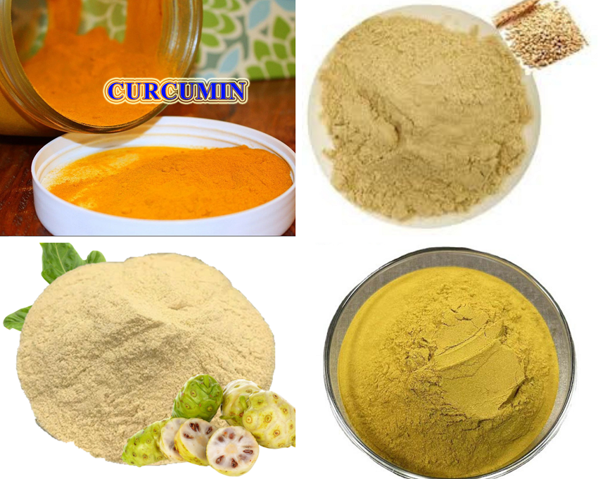Nhận chiết xuất thảo dược thành bột hòa tan theo yêu cầu 11 Nhà máy chiết xuất thảo dược thành bột