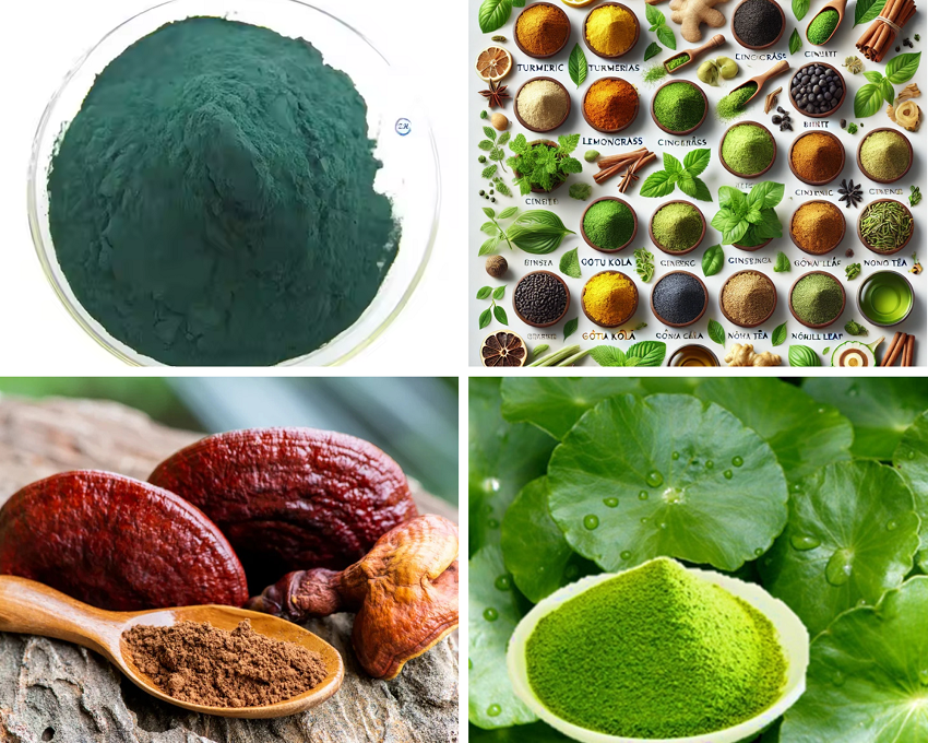 Dịch Vụ Sấy Phun Cao Thành Bột Chất Lượng Đỉnh Cao 8 Nhận phun sấy cao thành bột hòa tan