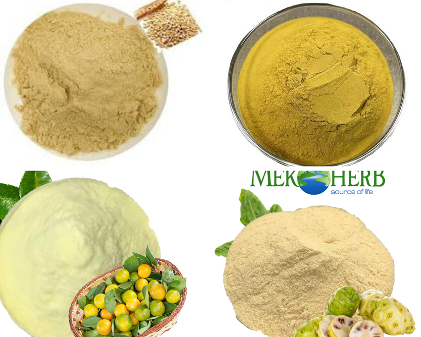 Dịch Vụ Sấy Phun Cao Thành Bột Chất Lượng Đỉnh Cao 9 chiết xuất thảo dược thành bột