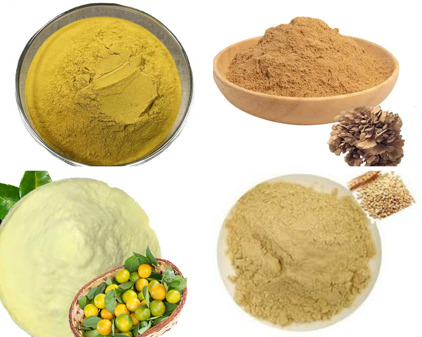 Nhận chiết xuất thảo dược thành bột hòa tan theo yêu cầu 5 chiết xuất thảo dược thành bột
