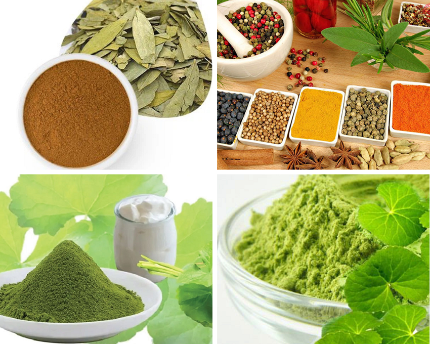 Nhận chiết xuất thảo dược thành bột hòa tan theo yêu cầu 12 hiết xuất thảo dược thành bột
