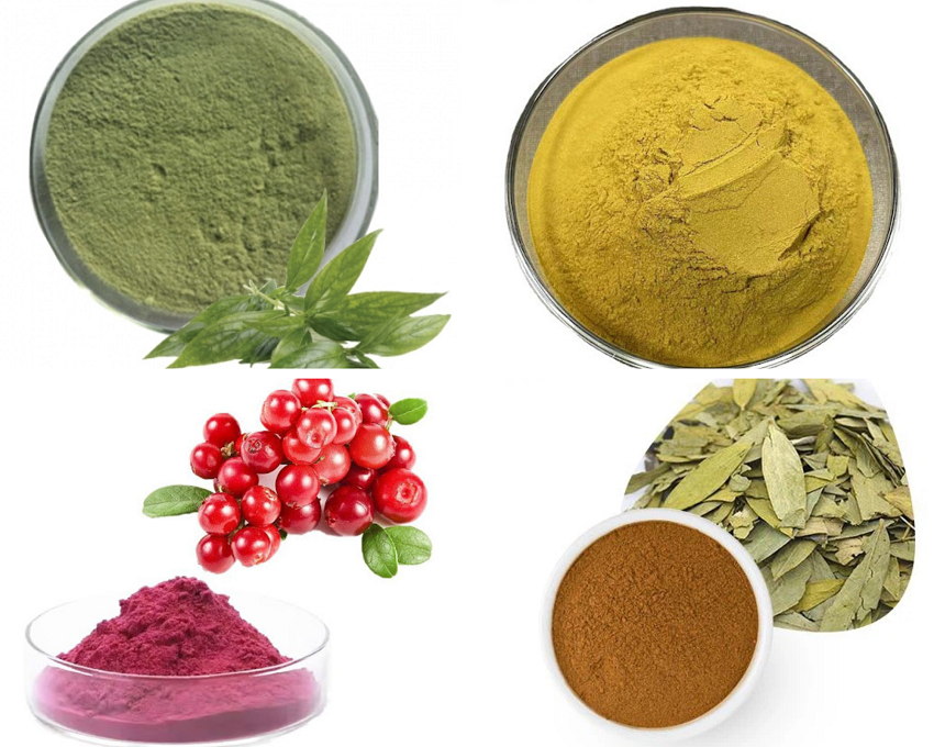 Dịch Vụ Sấy Phun Cao Thành Bột Chất Lượng Đỉnh Cao 11 gia công phun sấy cao thành bột