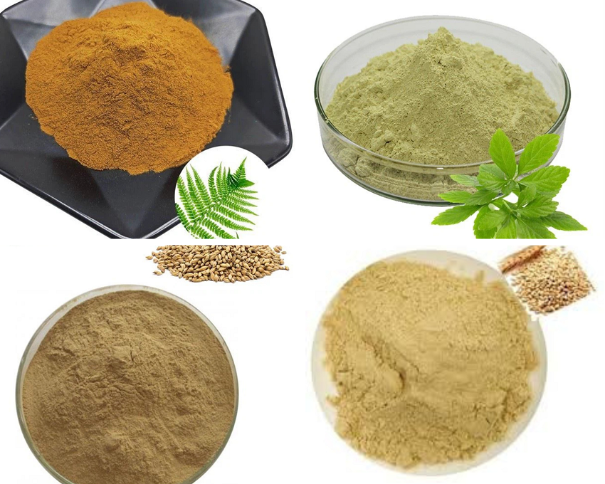Dịch Vụ Sấy Phun Cao Thành Bột Chất Lượng Đỉnh Cao 10 gia công phun sấy cao thành bột