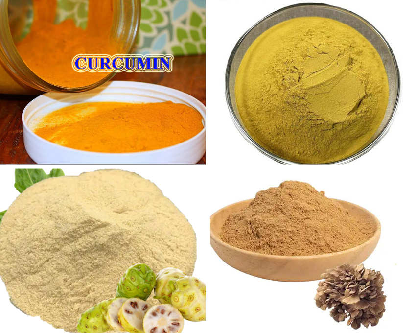 Dịch Vụ Sấy Phun Cao Thành Bột Chất Lượng Đỉnh Cao 4 gia công sấy phun cao thành bột hòa tan