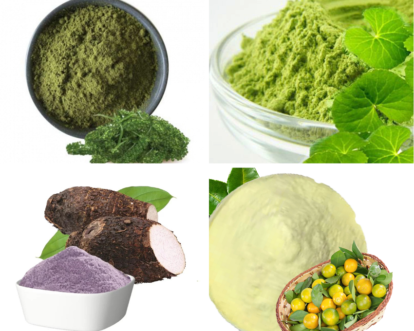 Dịch Vụ Sấy Phun Cao Thành Bột Chất Lượng Đỉnh Cao 1 sấy phun cao thành bột