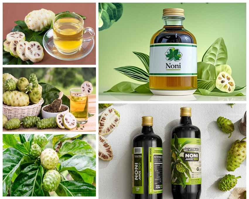 Gia Công Nước Cốt Nhàu Enzyme: Bí Quyết Từ Thiên Nhiên 4 Gia công thực phẩm bổ sung nhàu noni