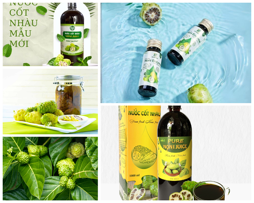 Gia Công Nước Cốt Nhàu Enzyme: Bí Quyết Từ Thiên Nhiên 5 Gia công thực phẩm chức năng nhàu noni