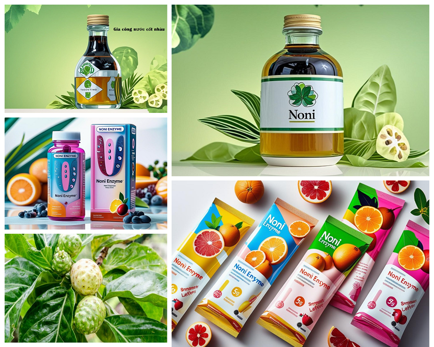 Nhận gia công thực phẩm bổ sung nhàu Noni Enzyme
