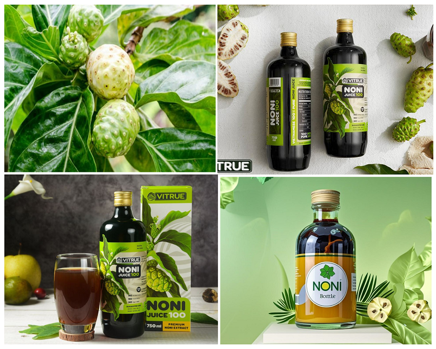 Gia Công Nước Cốt Nhàu Enzyme: Bí Quyết Từ Thiên Nhiên 2 nước cốt nhàu