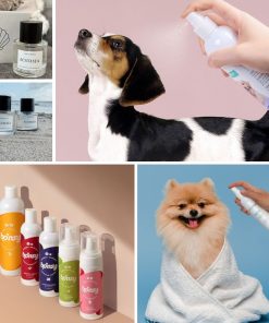 Gia Công Nước Hoa Khử Mùi Thú Cưng