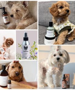 Gia Công Serum Nước Hoa Thú Cưng độc quyền